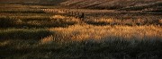 fine art 3